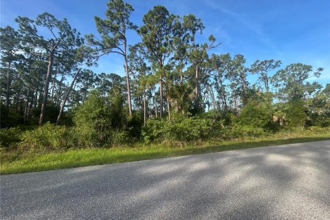 Land in Port Charlotte, Florida № 2165225 - photo 2