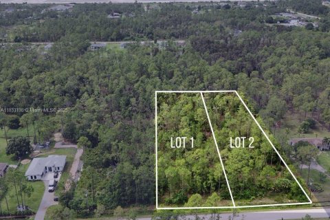 Terrain à Naples, Floride № 1935039