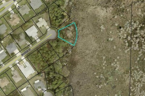 Land in Palm Coast, Florida № 2161453 - photo 2