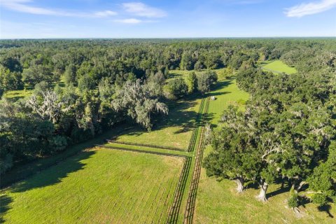 Terrain à vendre à Dunnellon, Floride № 2419698 - photo 21