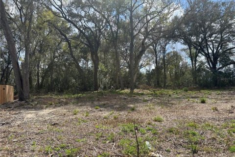 Terrain à vendre à Apopka, Floride № 2199814 - photo 2