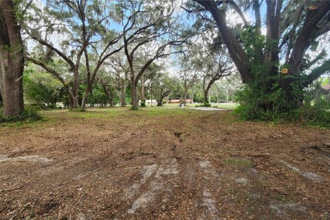 Terreno en venta en Belleview, Florida № 1775689 - foto 2