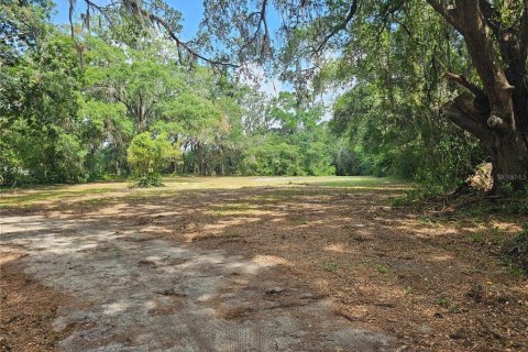Terreno en venta en Belleview, Florida № 1775689 - foto 10