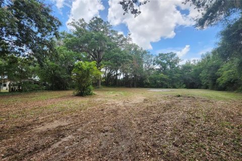 Terreno en venta en Belleview, Florida № 1775689 - foto 3