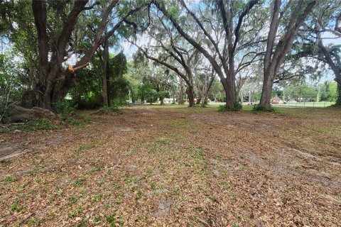 Terreno en venta en Belleview, Florida № 1775689 - foto 4