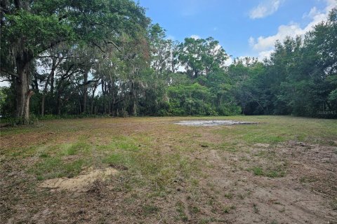 Terreno en venta en Belleview, Florida № 1775689 - foto 9