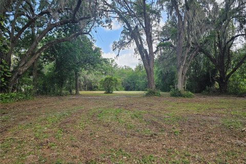 Terreno en venta en Belleview, Florida № 1775689 - foto 1