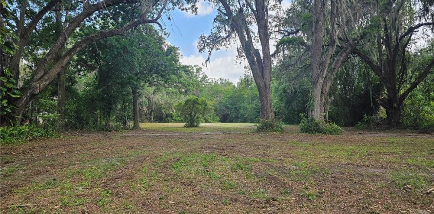 Terreno en Belleview, Florida № 1775689