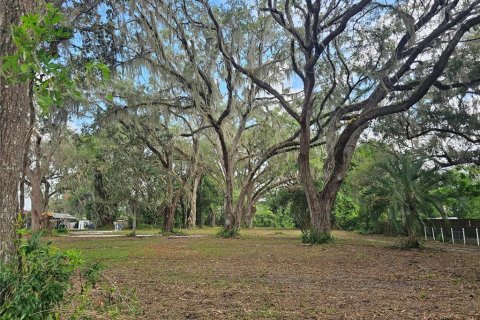 Terreno en venta en Belleview, Florida № 1775689 - foto 6
