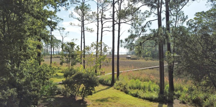Land in Santa Rosa Beach, Florida № 558431