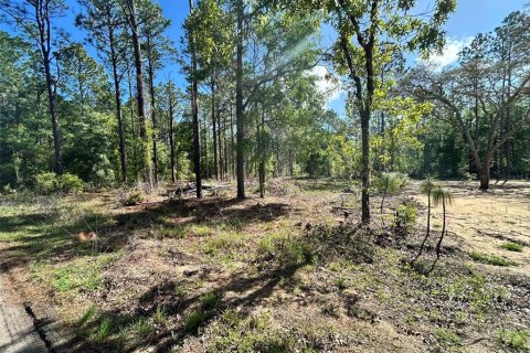 Land in Ocala, Florida № 2161383 - photo 2