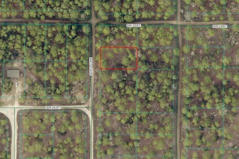 Land in Ocala, Florida № 2161383