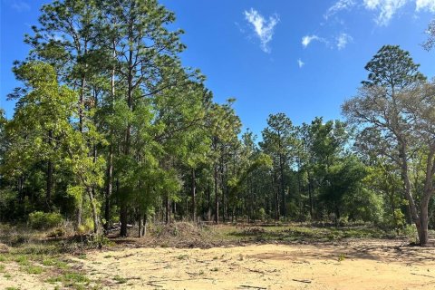 Land in Ocala, Florida № 2161383 - photo 11