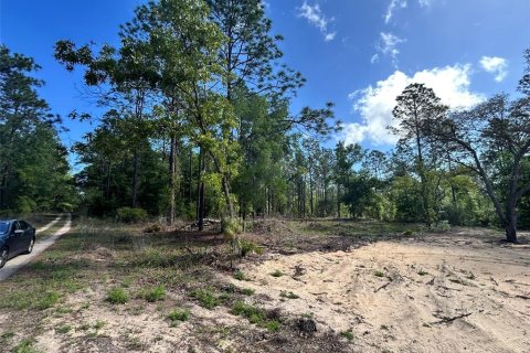 Land in Ocala, Florida № 2161383 - photo 8