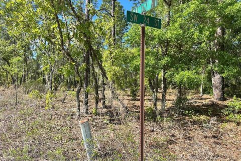 Land in Ocala, Florida № 2161383 - photo 9