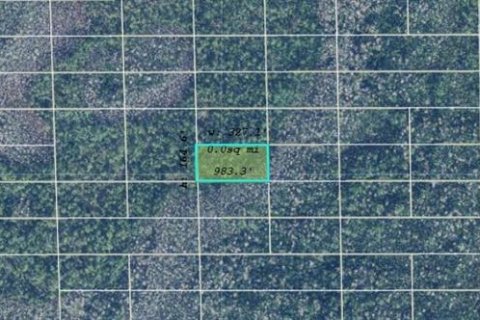 Land in Orlando, Florida № 2161386 - photo 2