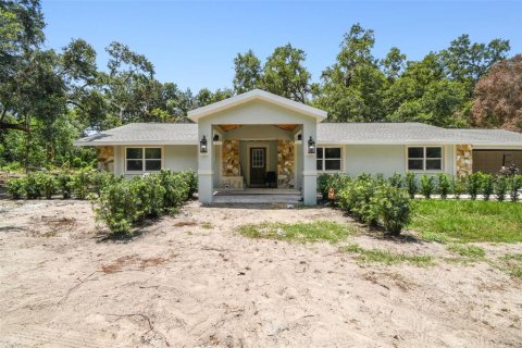 House in Seffner, Florida 3 bedrooms, 168.62 sq.m. № 1857849 - photo 1