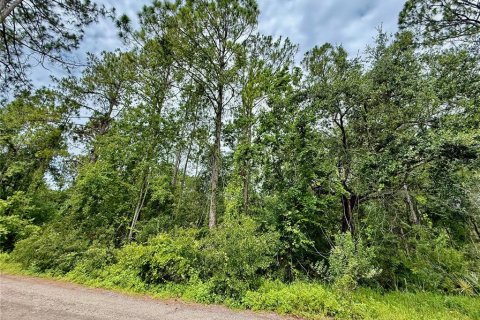Terreno en venta en Wesley Chapel, Florida № 1808331 - foto 1