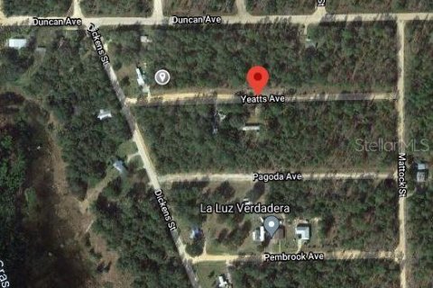 Land in Interlachen, Florida № 2224125