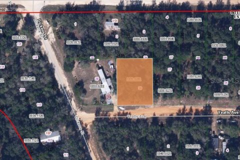 Land in Interlachen, Florida № 2224125 - photo 2
