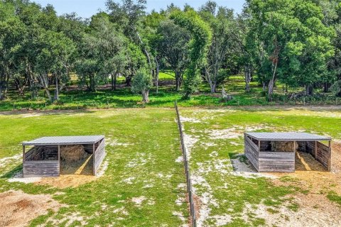 Villa ou maison à vendre à Weirsdale, Floride: 3 chambres, 135.45 m2 № 2283951 - photo 10