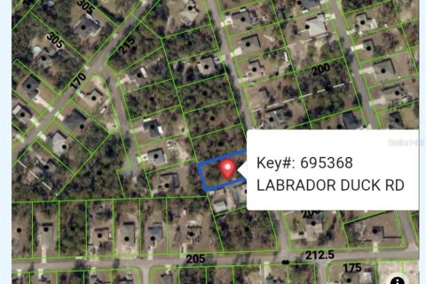 Terreno en Weeki Wachee, Florida № 2205325