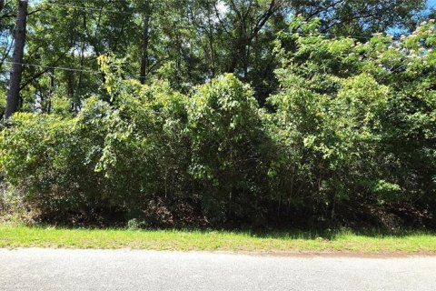 Terreno en Ocala, Florida № 2196856