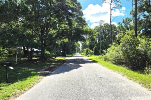 Land in Ocala, Florida № 2196856 - photo 3