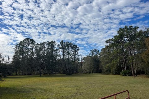 Land in Wesley Chapel, Florida № 1509049 - photo 22
