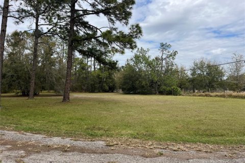 Land in Wesley Chapel, Florida № 1509049 - photo 20