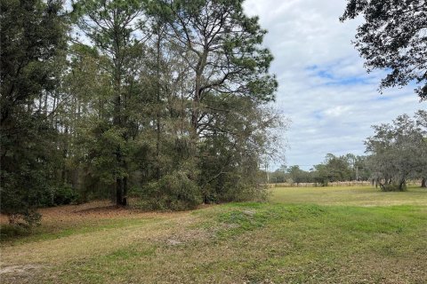 Land in Wesley Chapel, Florida № 1509049 - photo 16