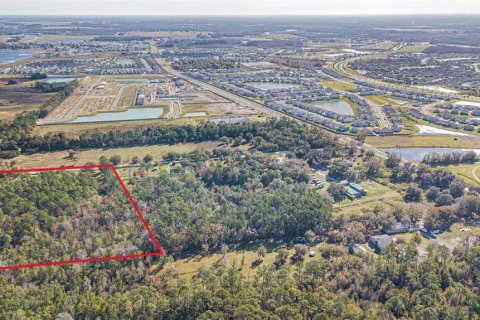 Land in Wesley Chapel, Florida № 1509049 - photo 6