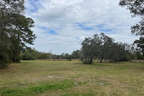 Land in Wesley Chapel, Florida № 1509049 - photo 17