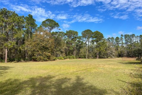 Land in Wesley Chapel, Florida № 1509049 - photo 1