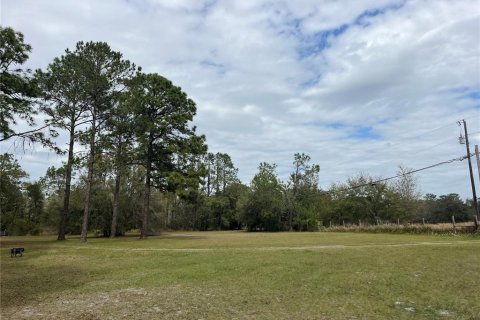 Land in Wesley Chapel, Florida № 1509049 - photo 19