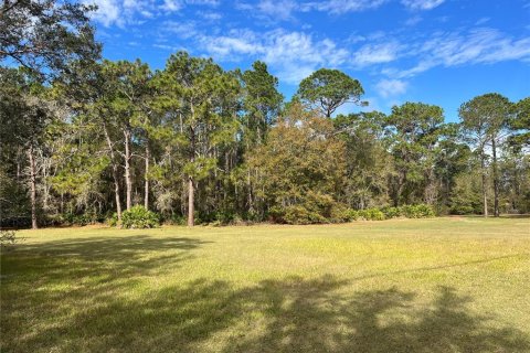Land in Wesley Chapel, Florida № 1509049 - photo 10