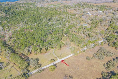 Land in Wesley Chapel, Florida № 1509049 - photo 13