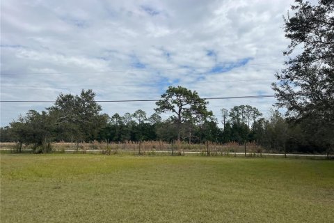 Land in Wesley Chapel, Florida № 1509049 - photo 21