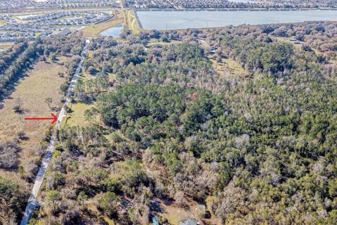 Land in Wesley Chapel, Florida № 1509049 - photo 23
