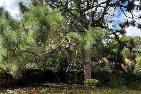 Villa ou maison à louer à Clearwater, Floride: 1 chambre, 69.96 m2 № 1909172 - photo 24