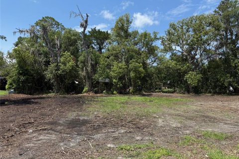 Terrain à vendre à Starke, Floride № 2205376 - photo 3
