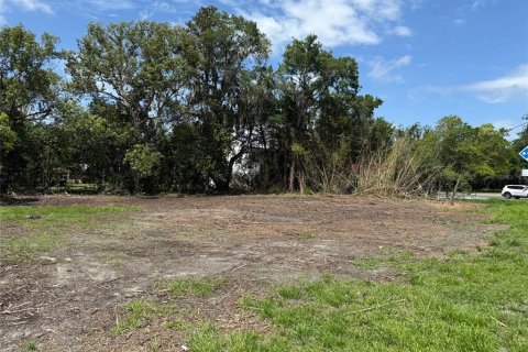 Terrain à vendre à Starke, Floride № 2205376 - photo 4