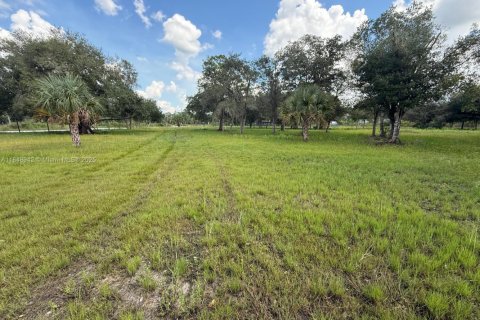 Terreno en venta en Clewiston, Florida № 1957769 - foto 18