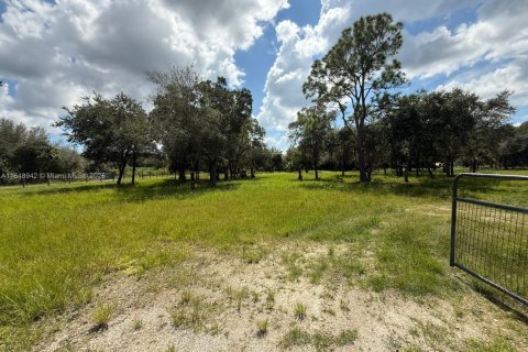 Terreno en venta en Clewiston, Florida № 1957769 - foto 12