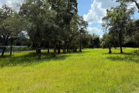 Terreno en venta en Clewiston, Florida № 1957769 - foto 1