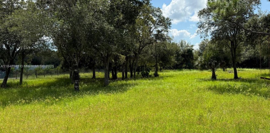 Terreno en Clewiston, Florida № 1957769