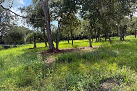 Terreno en venta en Clewiston, Florida № 1957769 - foto 11