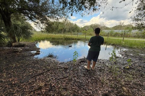 Terreno en venta en Clewiston, Florida № 1957769 - foto 8