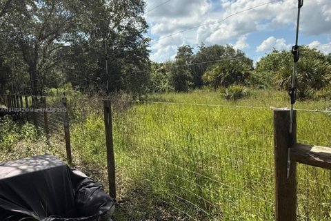 Terreno en venta en Clewiston, Florida № 1957769 - foto 14