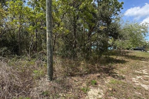 Land in Homosassa, Florida № 2165529 - photo 2